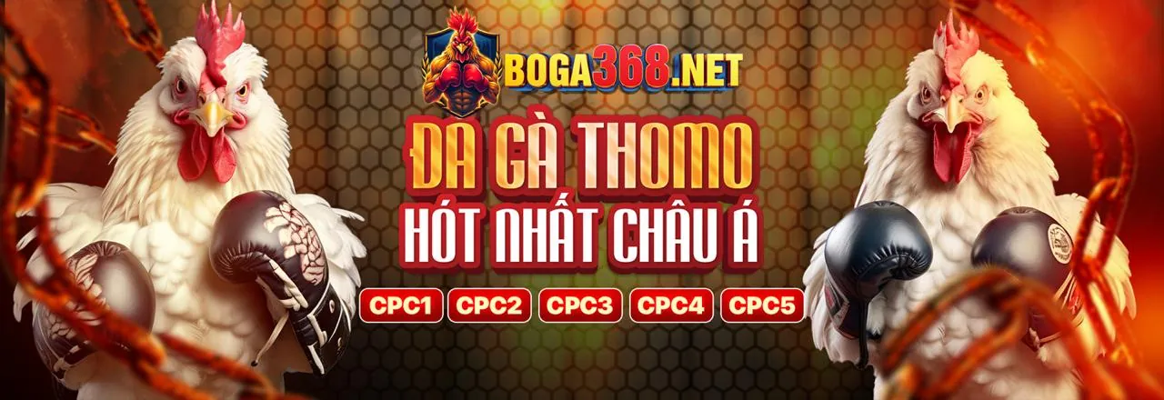 Tổng hợp các loại trò chơi và tính năng nổi bật có trên ứng dụng 68wim
